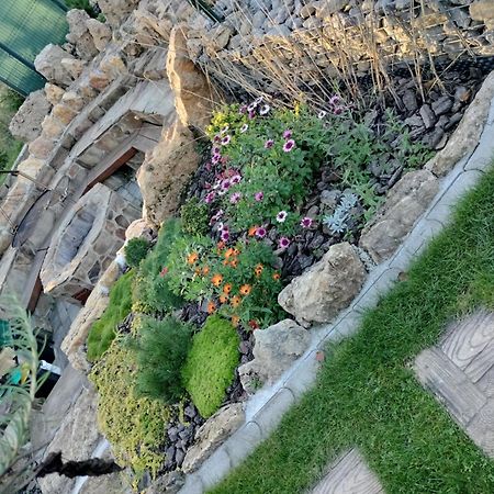 Villa Garden Bešeňová Eksteriør bilde
