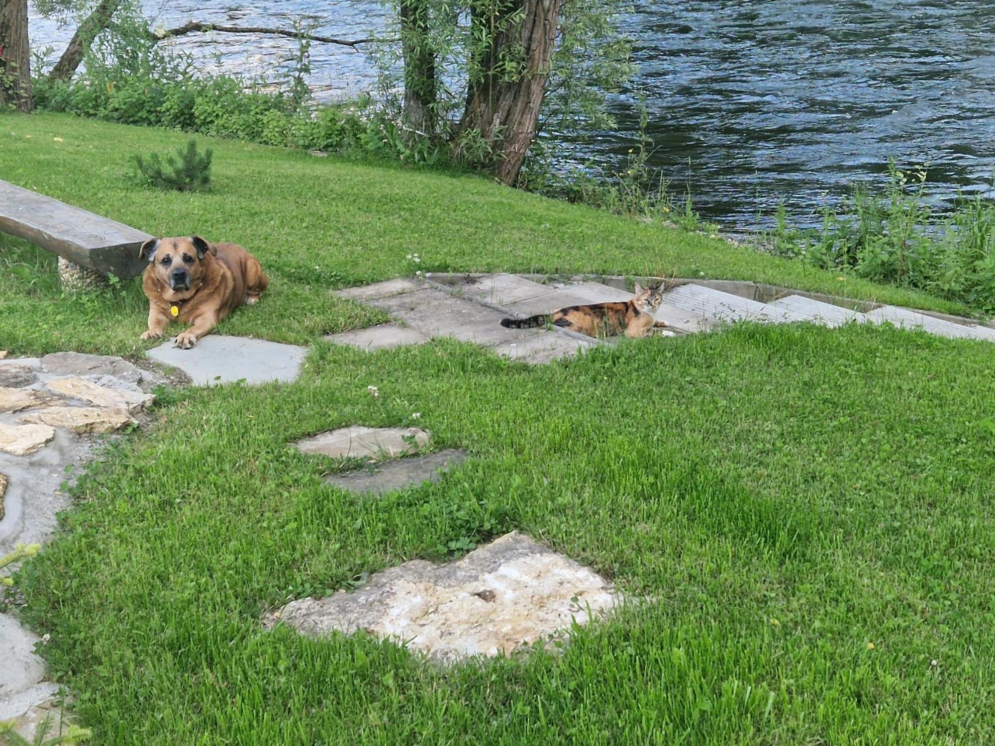 Villa Garden Bešeňová Eksteriør bilde