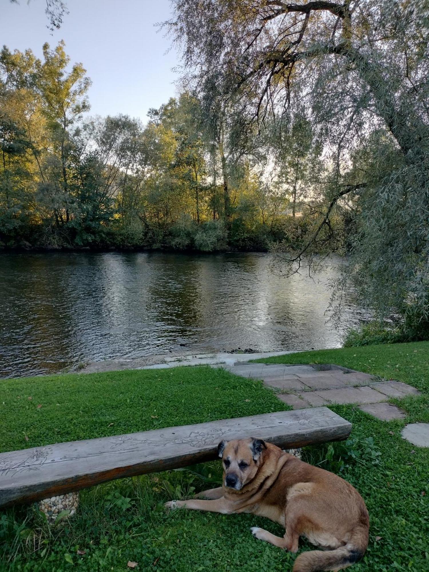 Villa Garden Bešeňová Eksteriør bilde